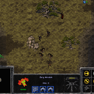 Orcs & Fire Mages (Gothic RTS)
