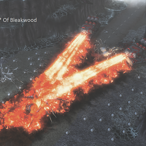 Heroes* of Bleakwood