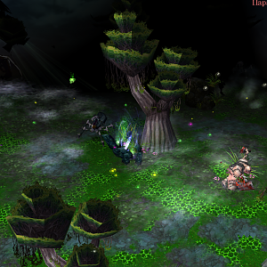 New swamps