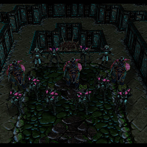 Lenira Nexus