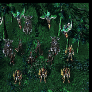 The Nexus