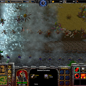 WC3ScrnShot_111020_022622_001