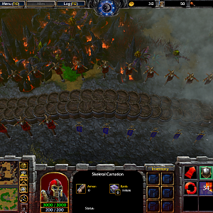 WC3ScrnShot_111020_022655_001