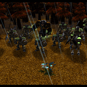 Boar Regiment