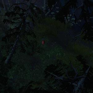 Dark Forest
