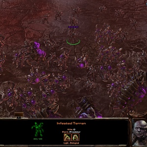 Infested Terrans with enhancements
