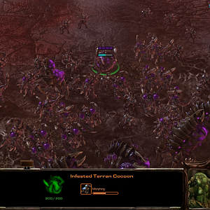 Infested Terrans Merging