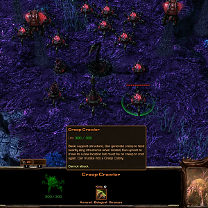 Creep Crawlers