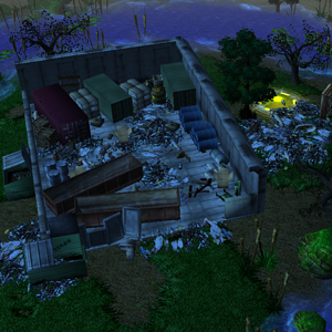 The dump