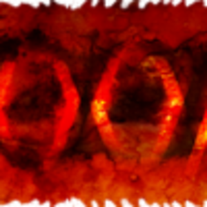 Signature.png