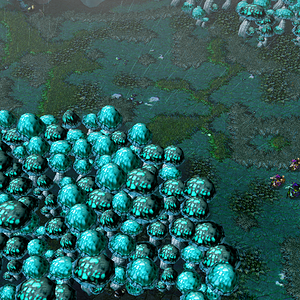 Zangarmarsh Terrain.png