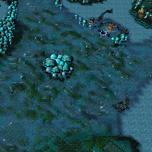 Zangarmarsh NW.png