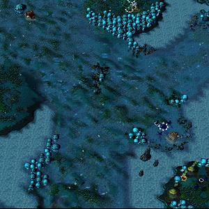 Zangarmarsh SW.png