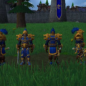 Stormwind Champion.jpg