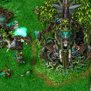 Wood Elf Preview