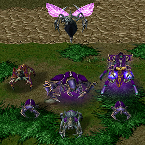 NerubianRoster.png