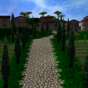 Riva Basso vineyards