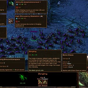 zerg experimental stats wip 7