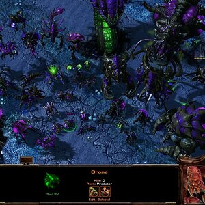starcraft futures 1.24 zerg unit roster wip
