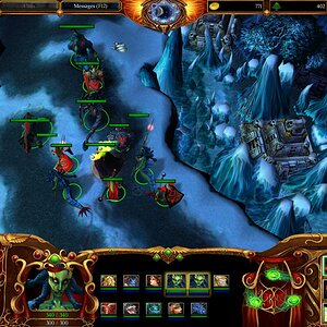 lichking1_small.jpg