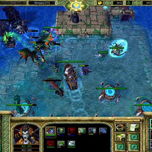 lichking5_small.jpg