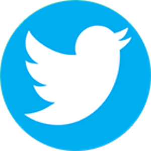 Twitter Icon Small