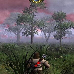 Forest2.jpg