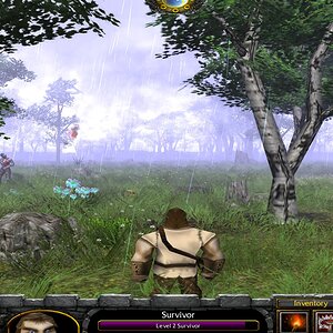 forest2.jpg