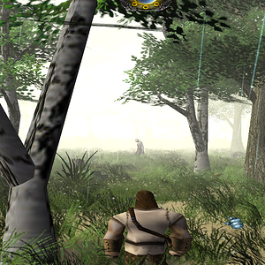 forest1.png