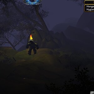 forest3.jpg
