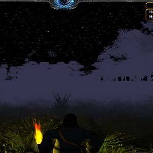 forest4.jpg