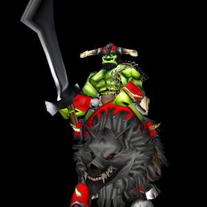 Raider