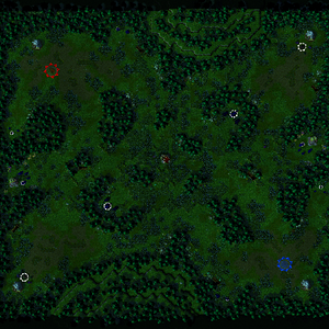 Asparagus Forest Overview.png