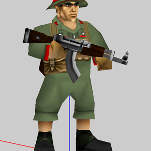 Vietnamese rifleman