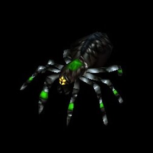 BSpider.jpg