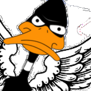 Angel_duck