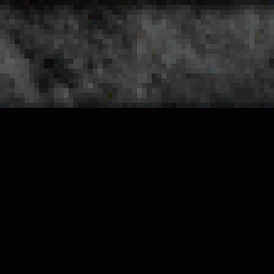 header back noborder
