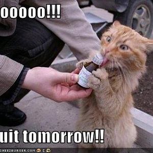 classic cat