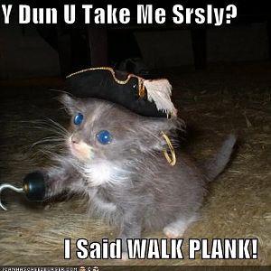 pirate cat