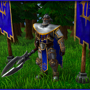 Lordaeron King's Guard in his Field Armor