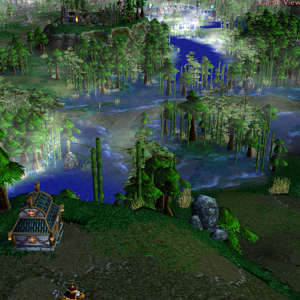 Swamp