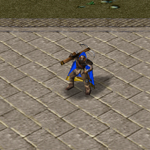 Ranged Units