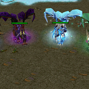 Dragons