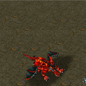 morphing dragon