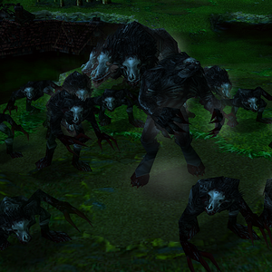 group of wolves