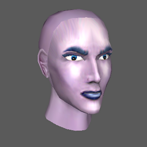 Female head mesh 2
