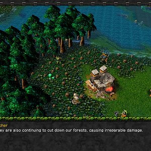 Forests