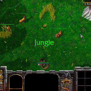 jungle.jpg