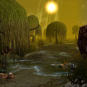 swamps2