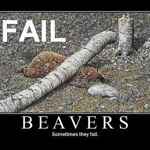 fail